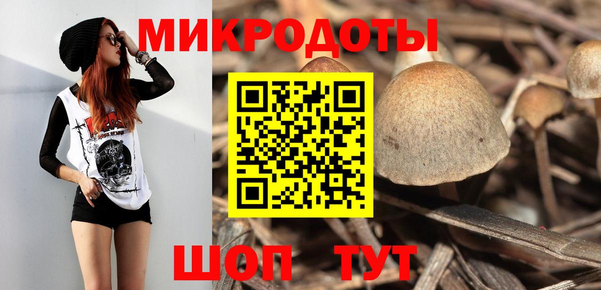 Псилоцибиновые грибы GOLDEN TEACHER  Галлюциногенные грибы прущие грибы  Бузулук  купить наркотики сайты  Вход с VPN 